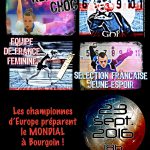 affiche-bourgoin.jpg