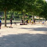 20180701_083016.jpg